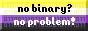 Non-binary flag with caption 'No binary? No problem!'